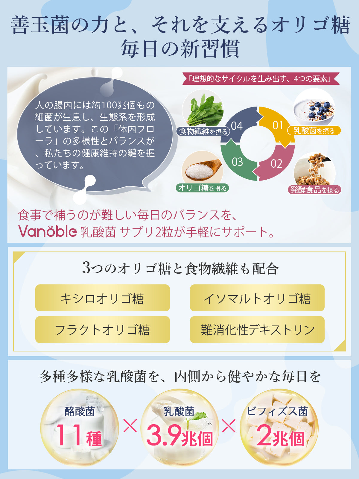乳酸菌 サプリ 6.5兆個 酪酸菌 ビフィズス菌 オリゴ糖 食物繊維 イヌリン 菌活 耐酸性カプセル採用 国内製造 GMP認定工場 30日分60粒
