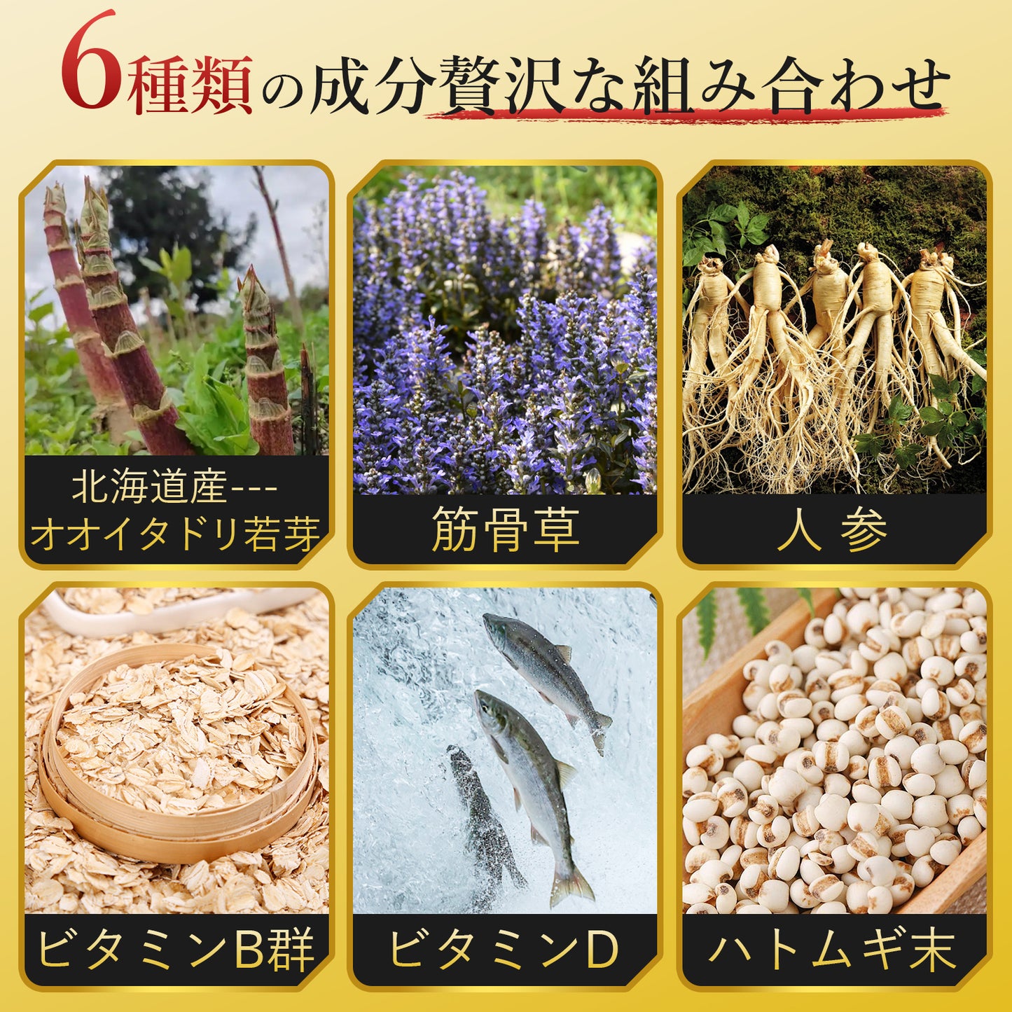 グルコサミン 1500mg サプリメント プロテオグリカン 軟骨成分 200mg MSM 120mg コラーゲン ヒアルロン酸 人参 日本製 ビタミンD ビタミンB群 膝 サプリ GMP認定工場 90粒 約30日分