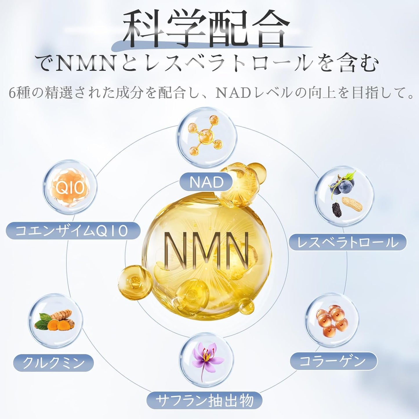 NMN サプリメント 14400㎎ (1粒に240㎎)高純度99%以上 コラーゲン NAD+ レスベラトロール コエンザイムQ10  60カプセル 国内GMP認定工場