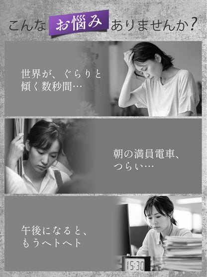 鉄分 サプリ 25mg 葉酸 ヘム鉄 亜鉛 マルチビタミン 乳酸菌 マグネシウム 女性 男性 GMP認定工場 無添加 90粒