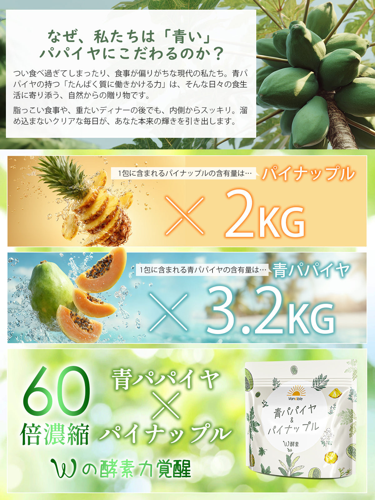Geneiyo 青パパイヤ オリゴ糖 パイナップル 酵素 サプリメント 植物乳酸菌 600億個 GMP認定工場 パイナップル風味 粉末 90g（3g×30包）/ 1袋