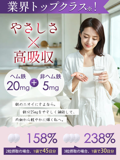 鉄分 サプリ 25mg 葉酸 ヘム鉄 亜鉛 マルチビタミン 乳酸菌 マグネシウム 女性 男性 GMP認定工場 無添加 90粒