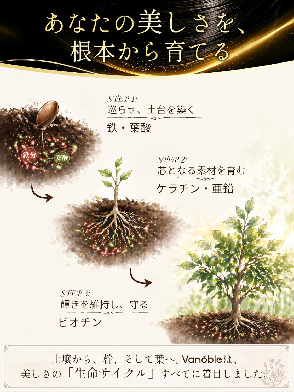 ビオチン 500μg ケラチン 100mg サプリメント ノコギリヤシ 鉄分 コラーゲン 葉酸 亜鉛 ビタミンC ビタミンB群 美容サポート 黒髪 GMP認定工場 60粒30日分