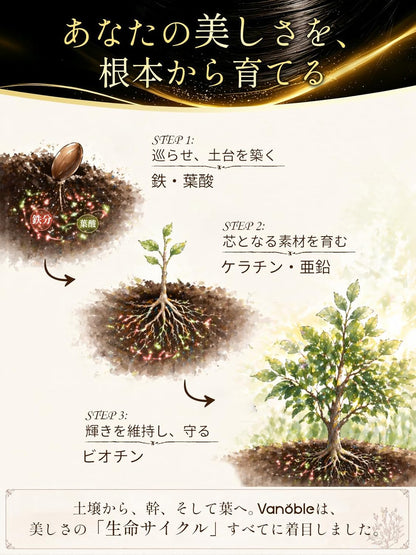 ビオチン 500μg ケラチン 100mg サプリメント ノコギリヤシ 鉄分 コラーゲン 葉酸 亜鉛 ビタミンC ビタミンB群 美容サポート 黒髪 GMP認定工場 60粒30日分