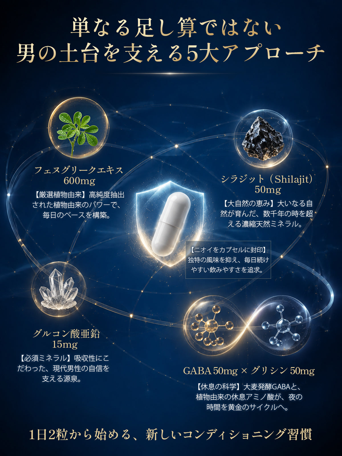 Geneiyo フェヌグリーク 600mg 亜鉛 15mg サプリ Shilajit GABA ミネラル グリシン 30日分 ビタミンD 無添加