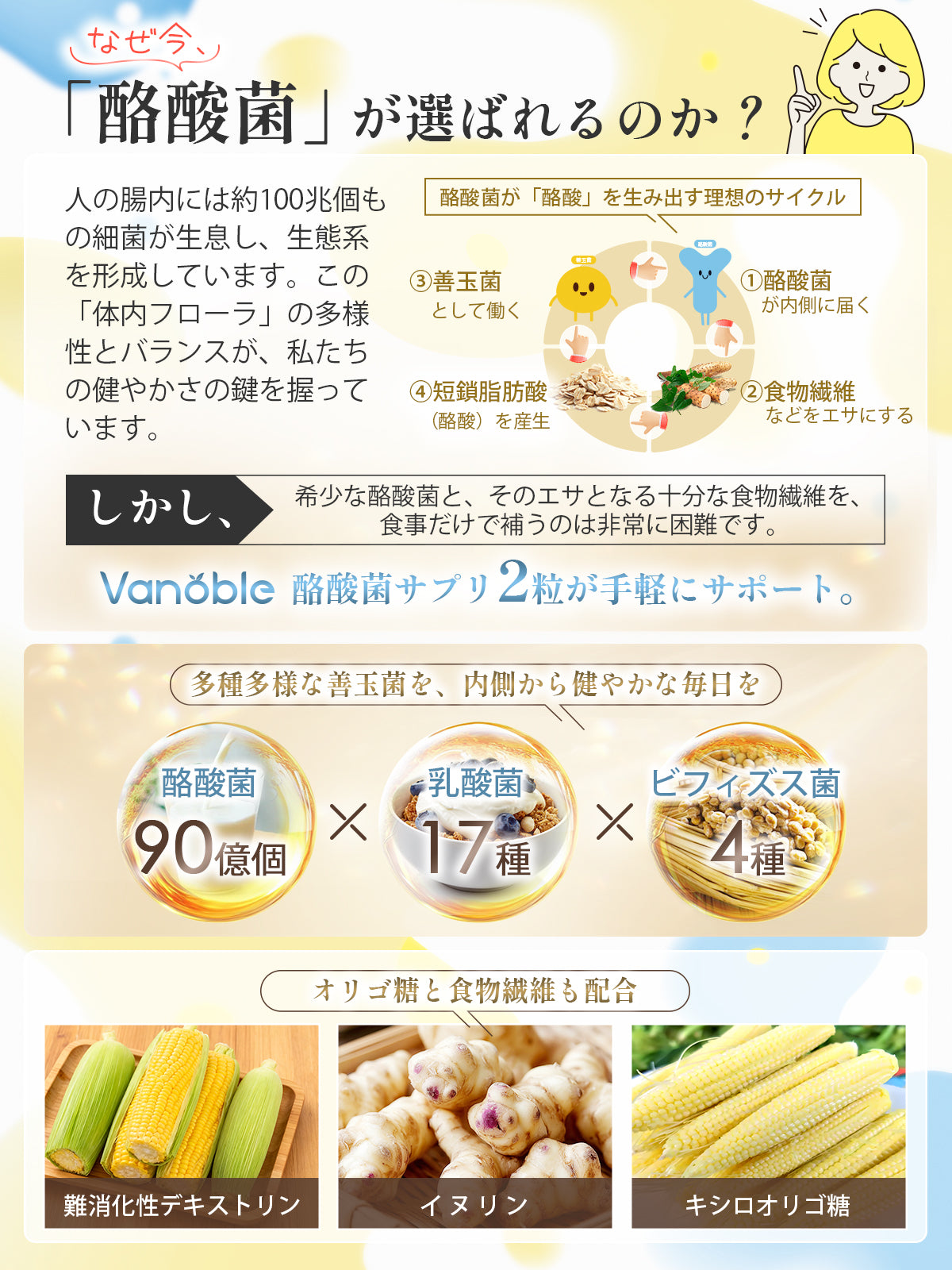 Geneiyo 酪酸菌 サプリ 90億個 乳酸菌 ビフィズス菌 オリゴ糖 食物繊維 イヌリン 菌活 耐酸性カプセル採用 GMP認定工場 120粒60日分