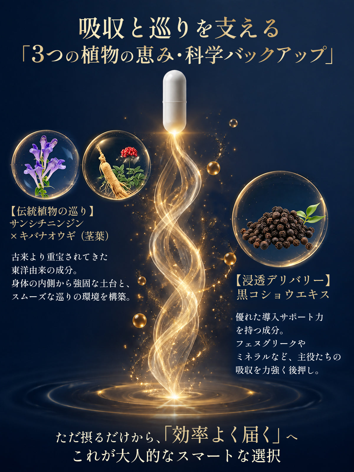 Geneiyo フェヌグリーク 600mg 亜鉛 15mg サプリ Shilajit GABA ミネラル グリシン 30日分 ビタミンD 無添加