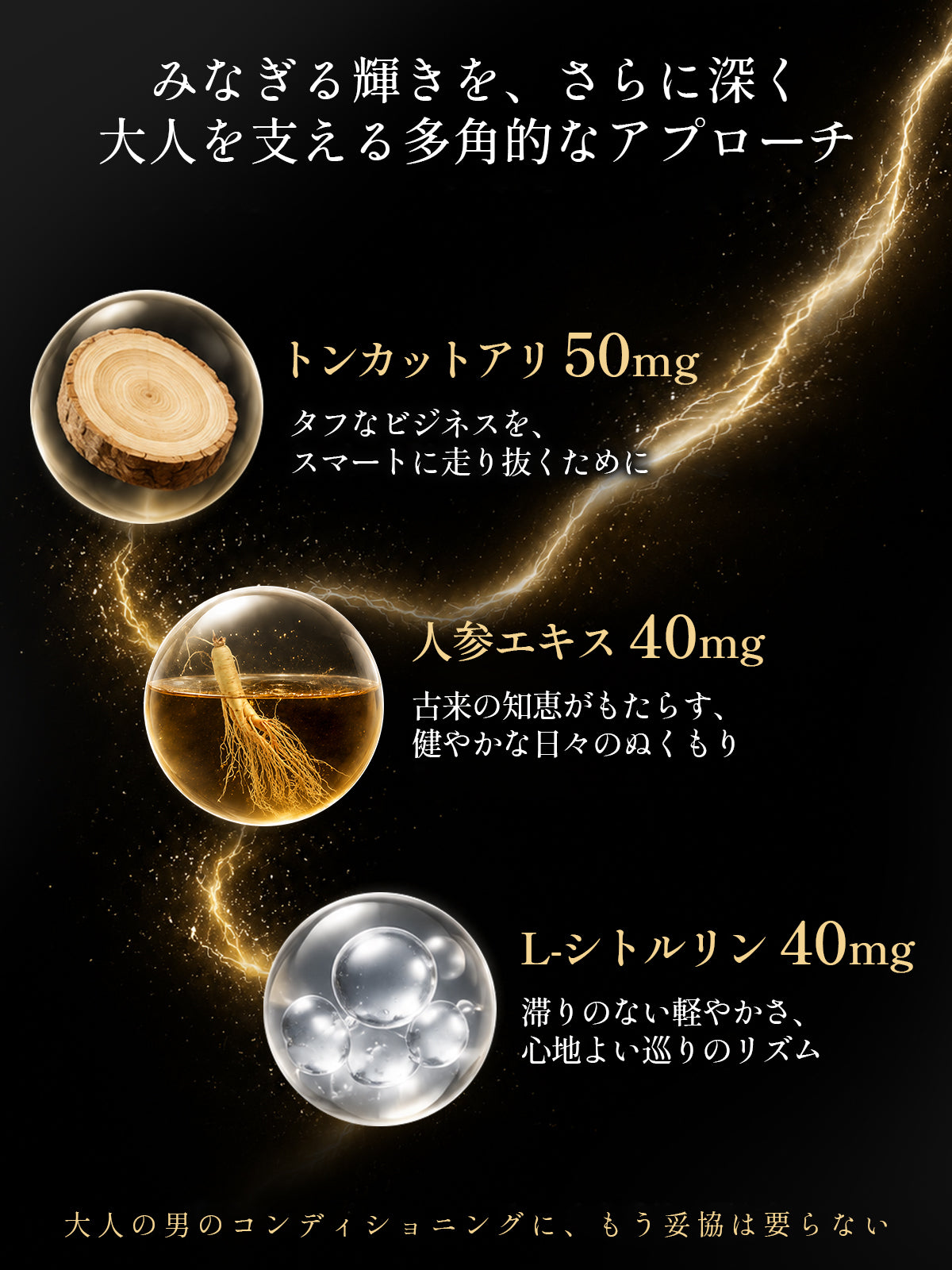 Geneieyo マカ 400mg 亜鉛15mg サプリメント 人参40mg シトルリン トンカットアリ ビタミンB群 GMP認定工場 30日分60粒