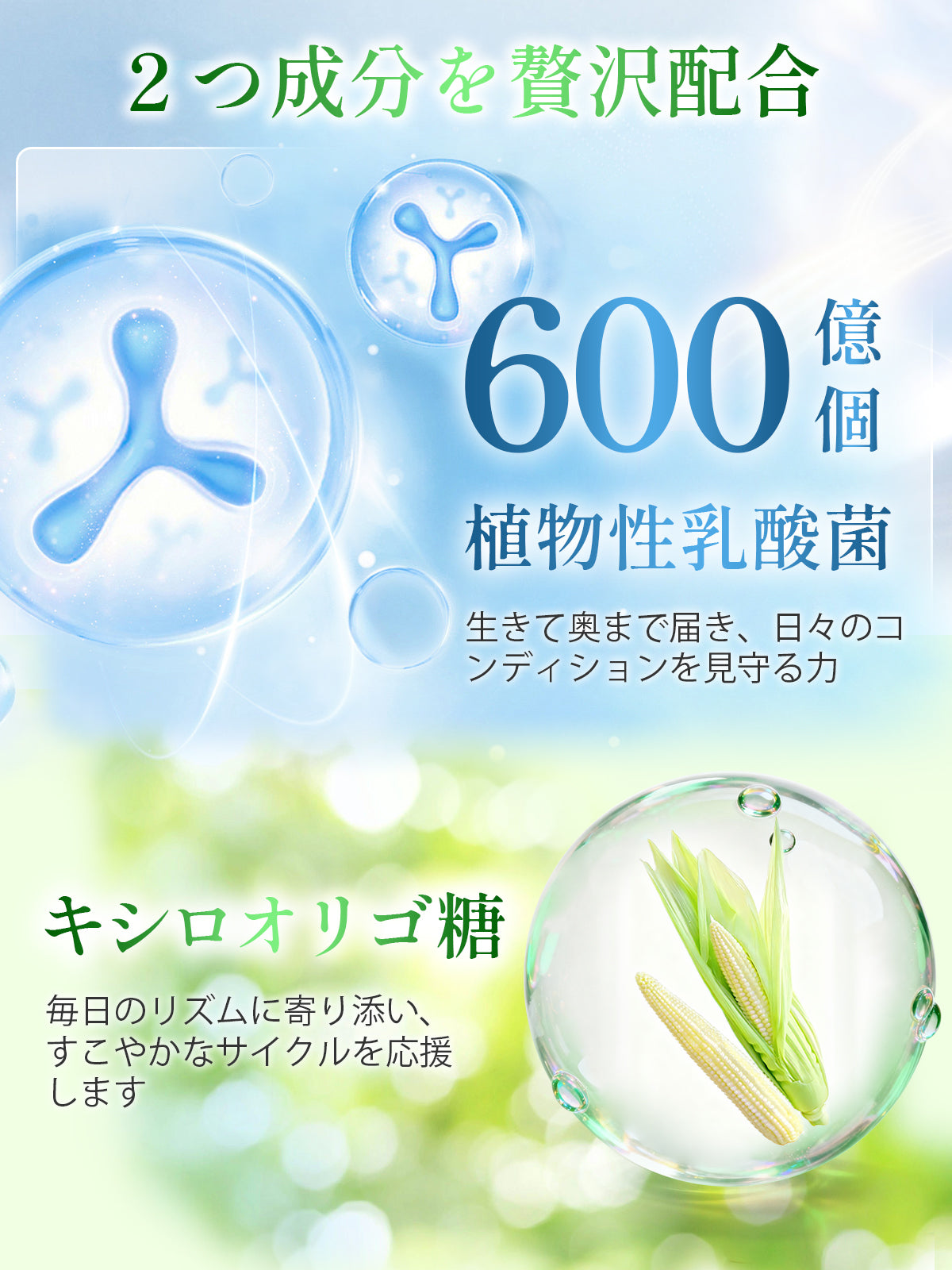 Geneiyo 青パパイヤ オリゴ糖 パイナップル 酵素 サプリメント 植物乳酸菌 600億個 GMP認定工場 パイナップル風味 粉末 90g（3g×30包）/ 1袋