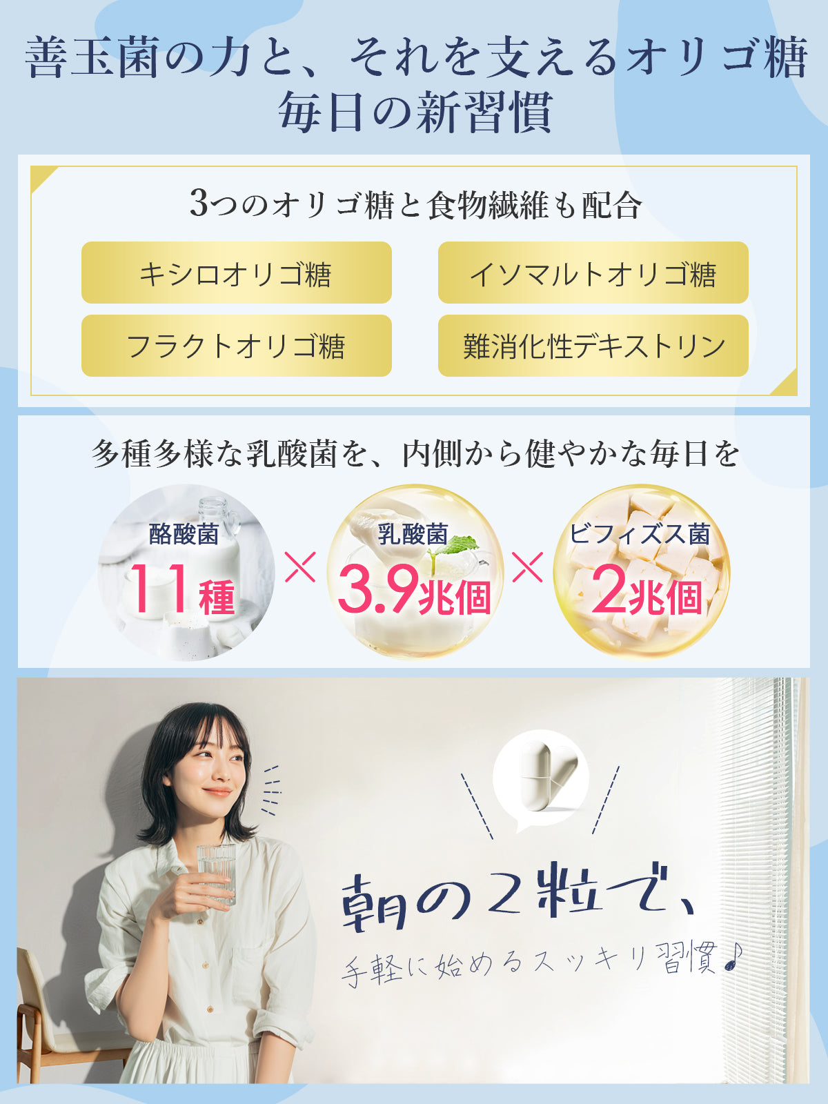 乳酸菌 サプリ 6.5兆個 酪酸菌 ビフィズス菌 オリゴ糖 食物繊維 イヌリン 菌活 耐酸性カプセル採用 国内製造 GMP認定工場 30日分60粒