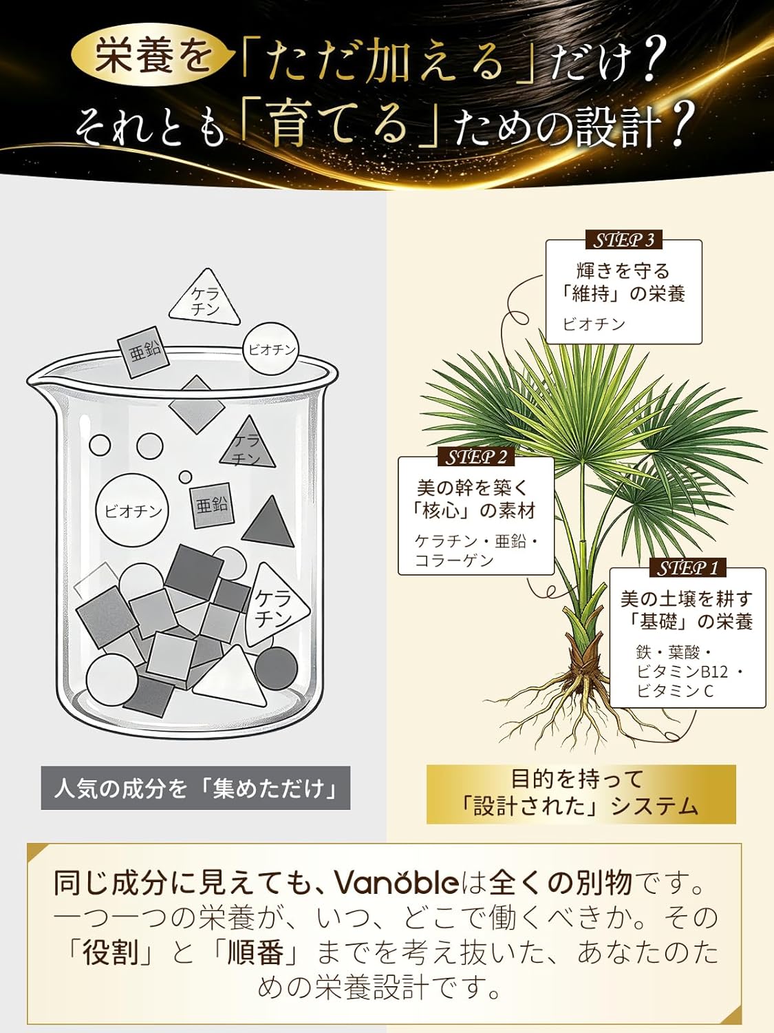 ビオチン 500μg ケラチン 100mg サプリメント ノコギリヤシ 鉄分 コラーゲン 葉酸 亜鉛 ビタミンC ビタミンB群 美容サポート 黒髪 GMP認定工場 60粒30日分
