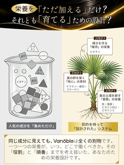 ビオチン 500μg ケラチン 100mg サプリメント ノコギリヤシ 鉄分 コラーゲン 葉酸 亜鉛 ビタミンC ビタミンB群 美容サポート 黒髪 GMP認定工場 60粒30日分