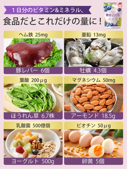 鉄分 サプリ 25mg 葉酸 ヘム鉄 亜鉛 マルチビタミン 乳酸菌 マグネシウム 女性 男性 GMP認定工場 無添加 90粒