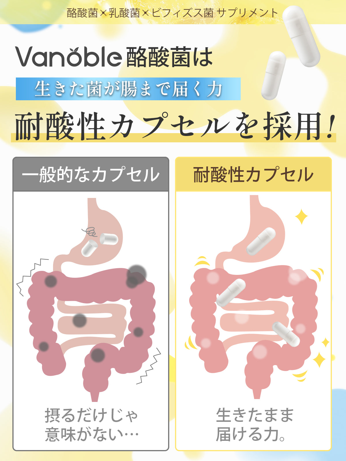 Geneiyo 酪酸菌 サプリ 90億個 乳酸菌 ビフィズス菌 オリゴ糖 食物繊維 イヌリン 菌活 耐酸性カプセル採用 GMP認定工場 120粒60日分