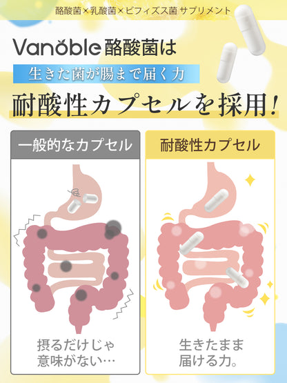 Geneiyo 酪酸菌 サプリ 90億個 乳酸菌 ビフィズス菌 オリゴ糖 食物繊維 イヌリン 菌活 耐酸性カプセル採用 GMP認定工場 120粒60日分