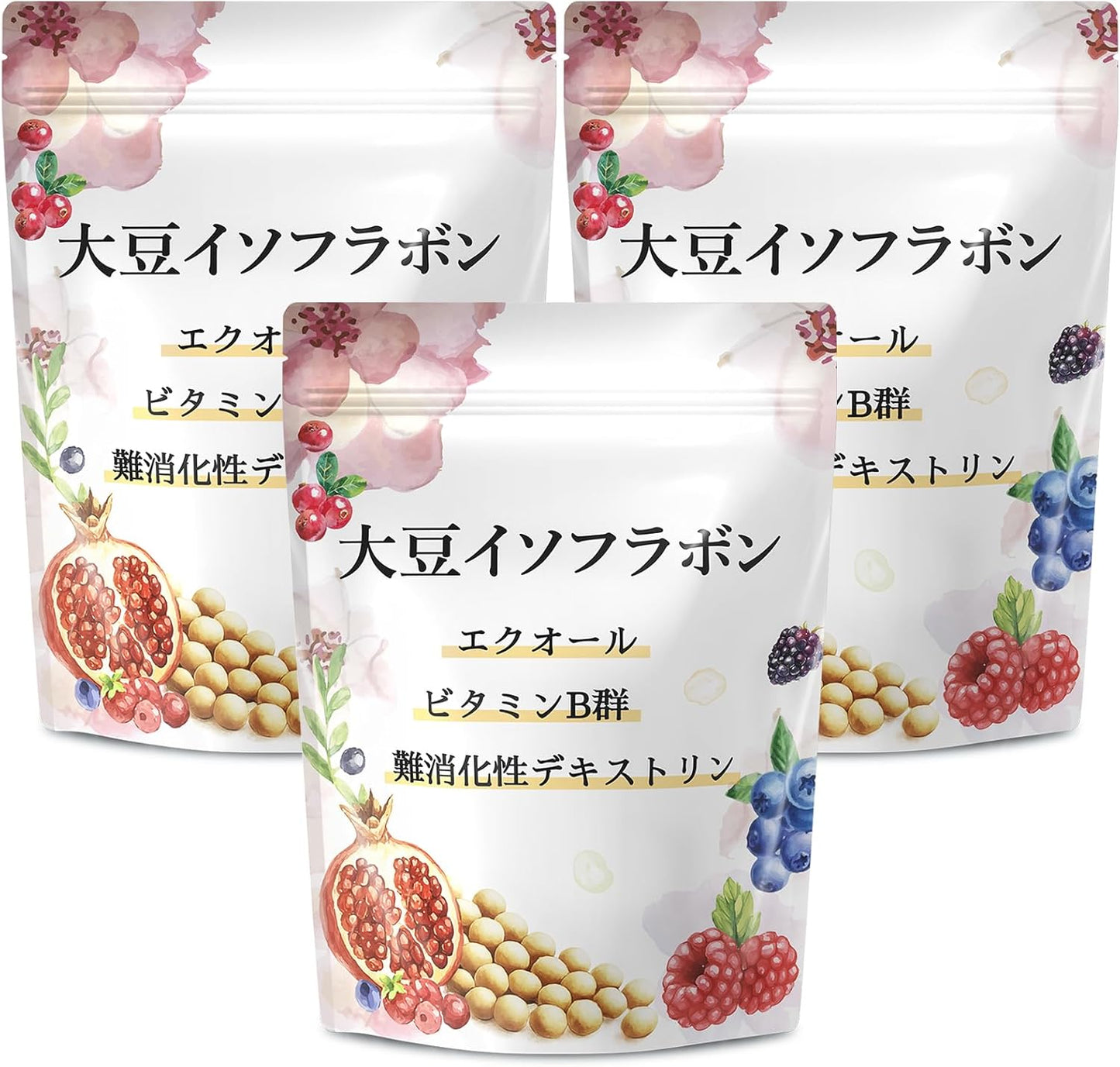 エクオール 10mg イソフラボン 30mg サプリメント 大豆イソフラボン GABA マカ 高麗人参 α-リポ酸 植物乳酸菌 ヒアルロン酸 ビタミンB群 美容サポート GMP認定工場 90日分180粒