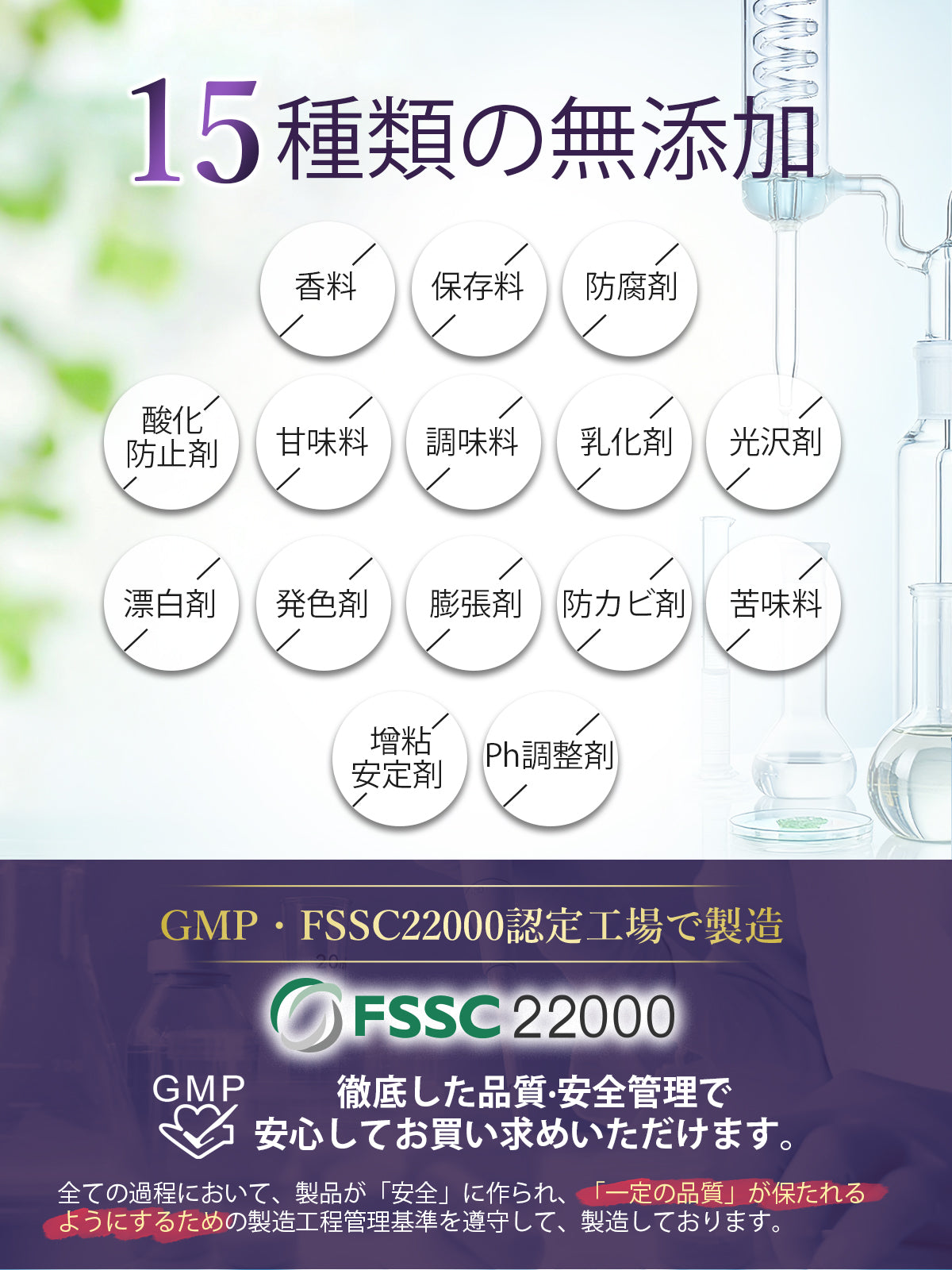 鉄分 サプリ 25mg 葉酸 ヘム鉄 亜鉛 マルチビタミン 乳酸菌 マグネシウム 女性 男性 GMP認定工場 無添加 90粒